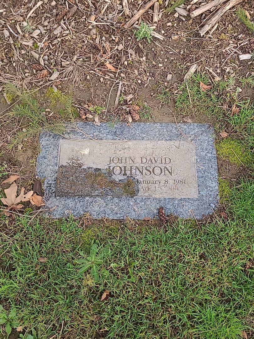 John David Johnson's grave. Photo 1