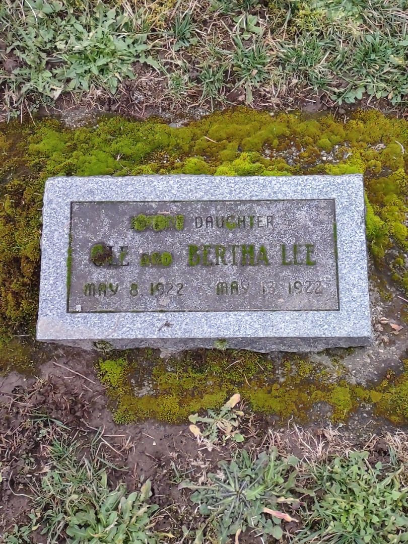 Baby Lee Van Horn's grave. Photo 1